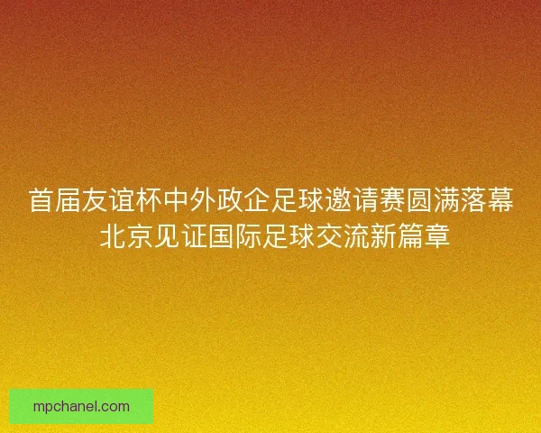 首届友谊杯中外政企足球邀请赛圆满落幕 北京见证国际足球交流新篇章