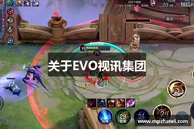 关于EVO视讯集团